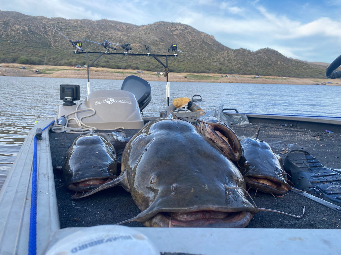 PFAS, Bartlett Lake, and the Future of Flathead Catfish